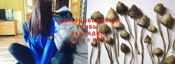 синтетический гашиш Белоозёрский